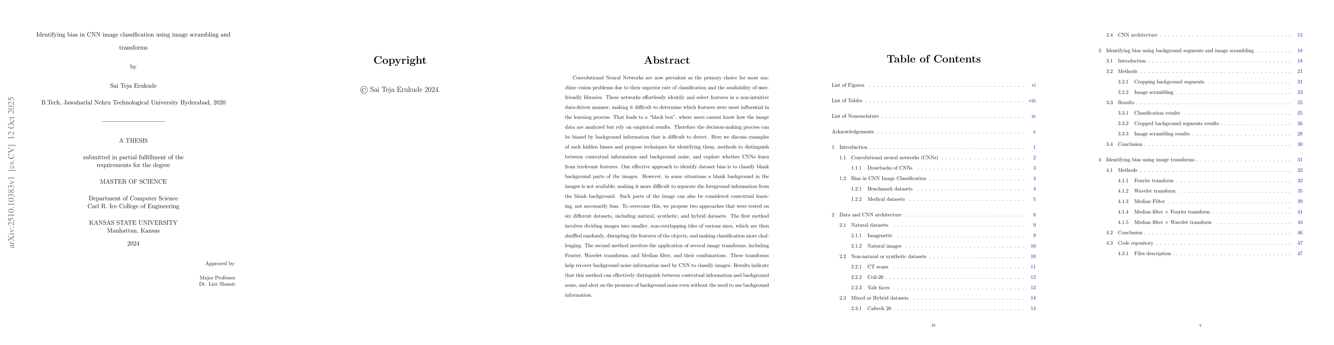 Thumbnail for Identifying bias in CNN image classification using image scrambling and
  transforms