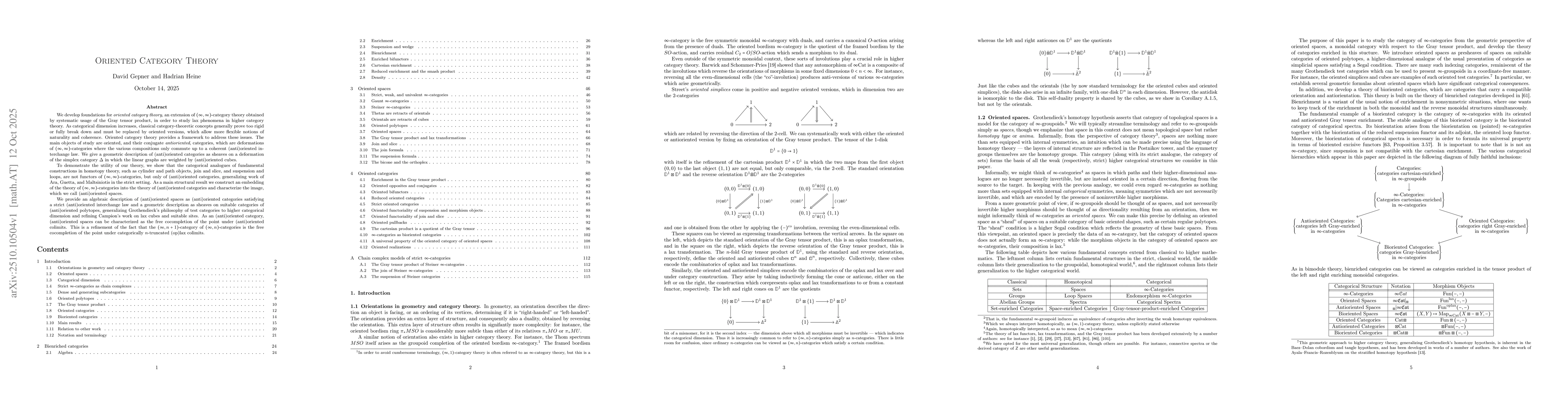 Thumbnail for Oriented Category Theory
