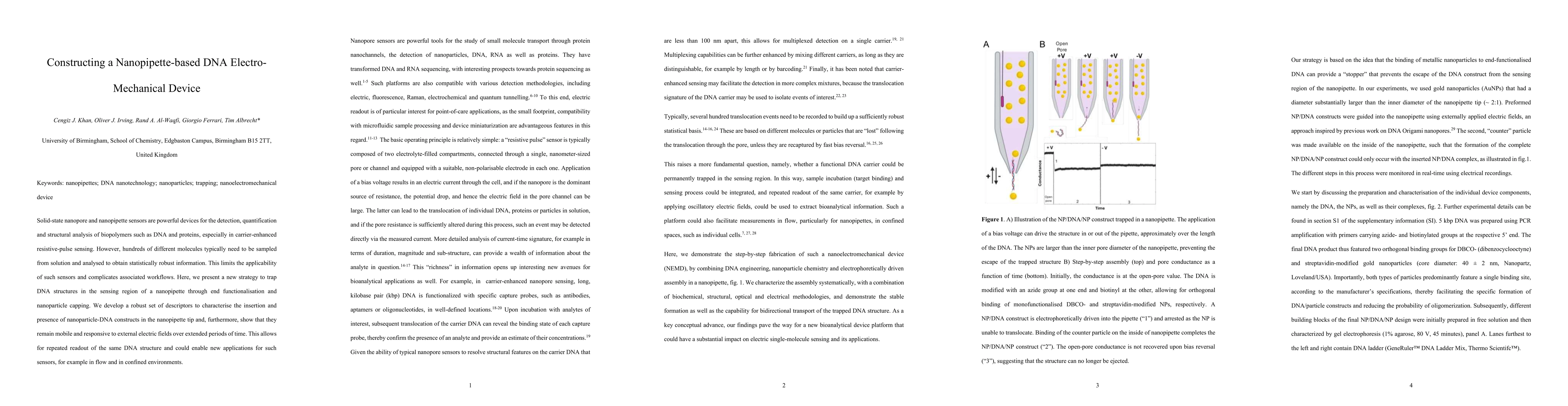 Thumbnail for Constructing a Nanopipette-based DNA Electro-Mechanical Device