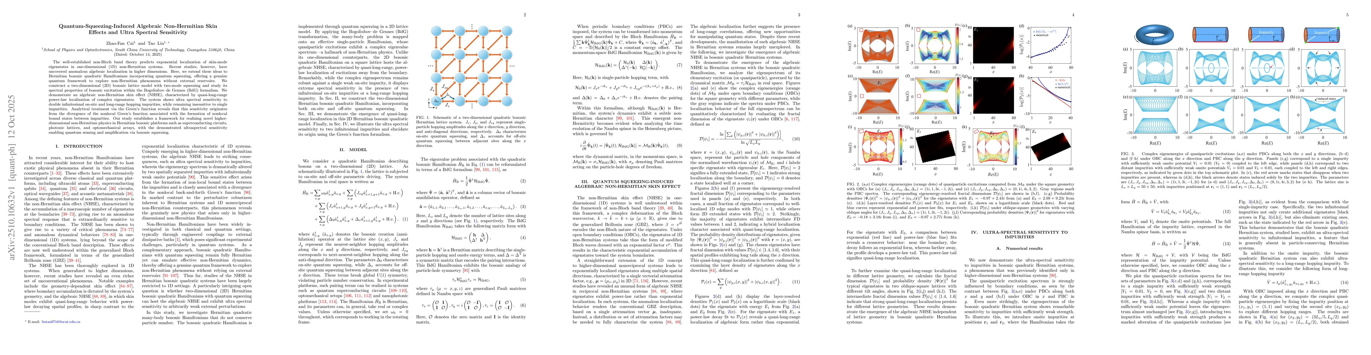 Thumbnail for Quantum-Squeezing-Induced Algebraic Non-Hermitian Skin Effects and Ultra
  Spectral Sensitivity