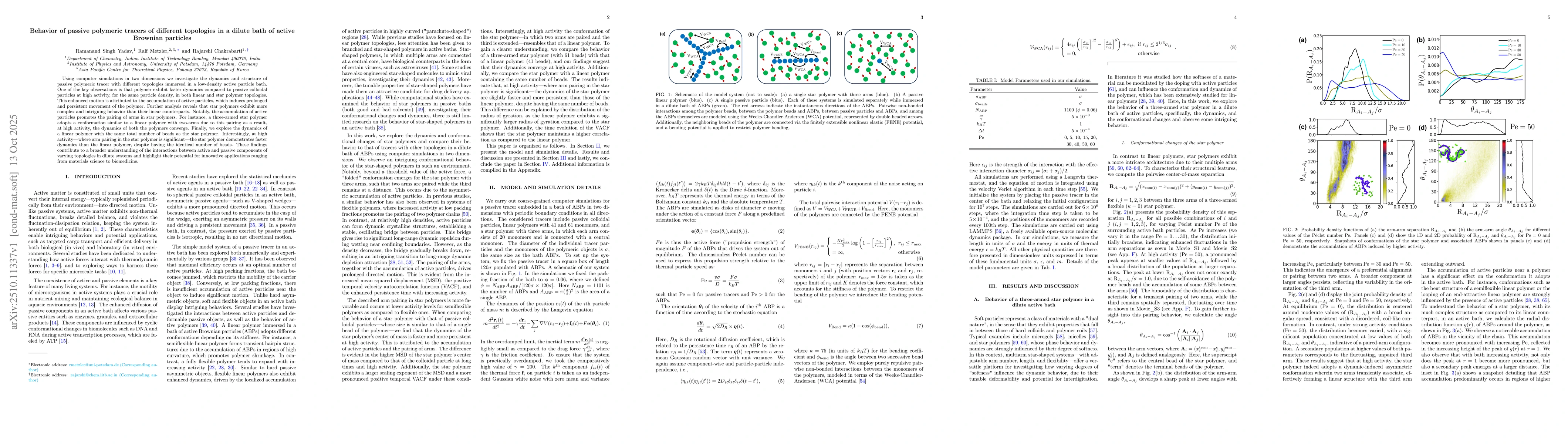 Thumbnail for Behavior of passive polymeric tracers of different topologies in a
  dilute bath of active Brownian particles