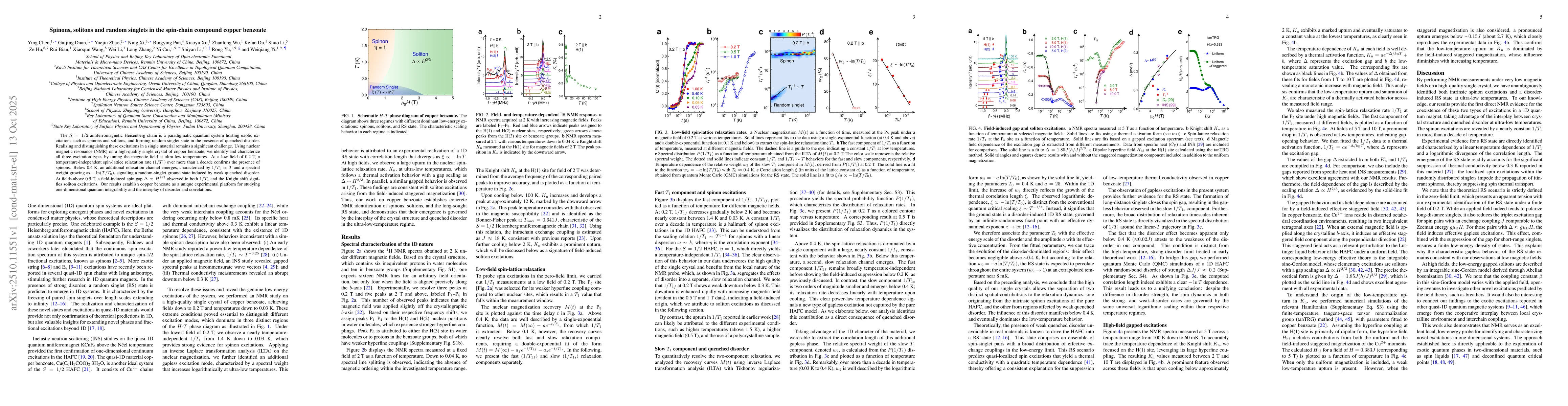Thumbnail for Spinons, solitons and random singlets in the spin-chain compound copper
  benzoate