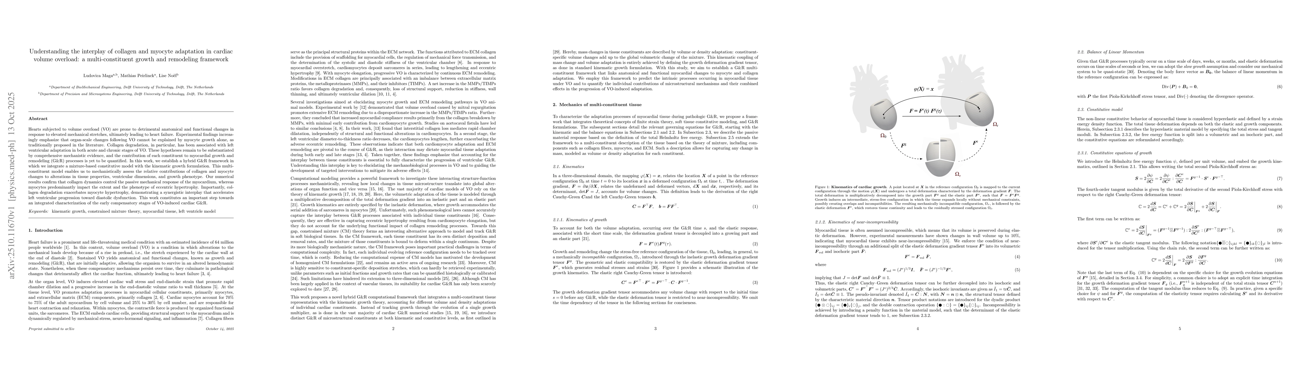 Thumbnail for Understanding the interplay of collagen and myocyte adaptation in
  cardiac volume overload: a multi-constituent growth and remodeling framework