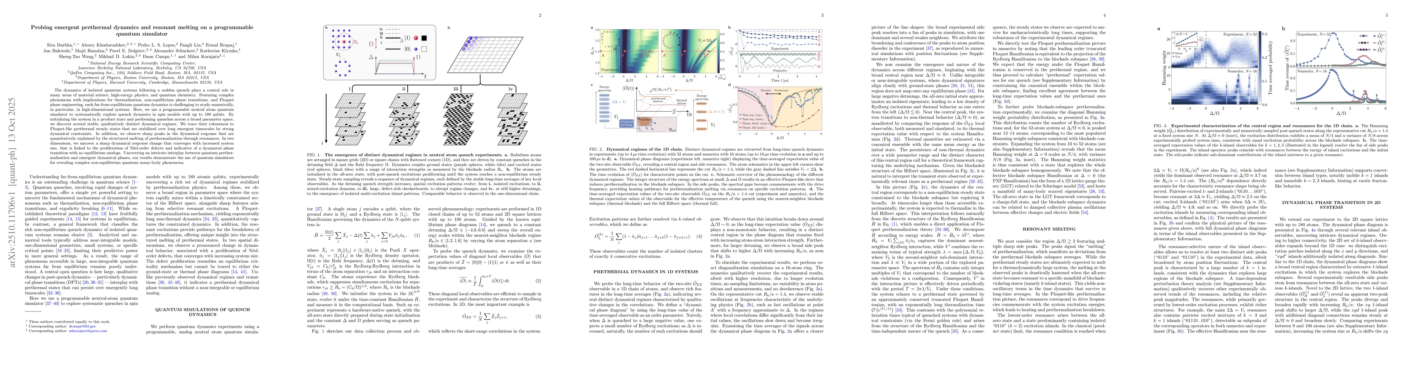 Thumbnail for Probing emergent prethermal dynamics and resonant melting on a
  programmable quantum simulator