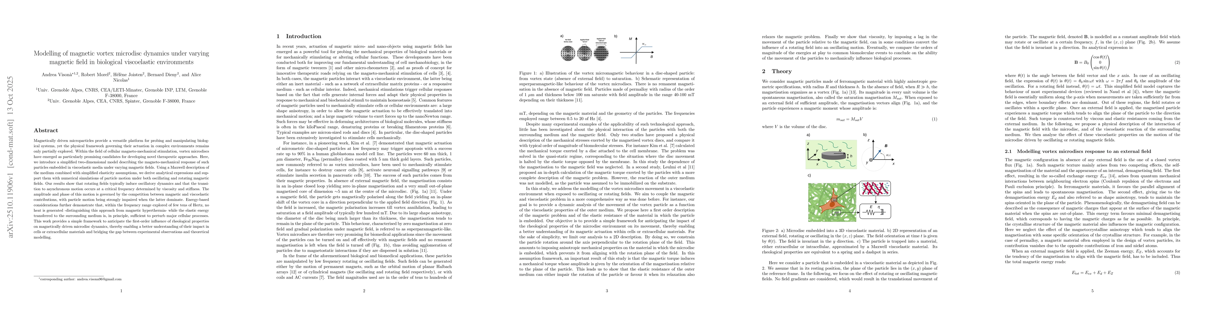 Thumbnail for Modelling of magnetic vortex microdisc dynamics under varying magnetic
  field in biological viscoelastic environments