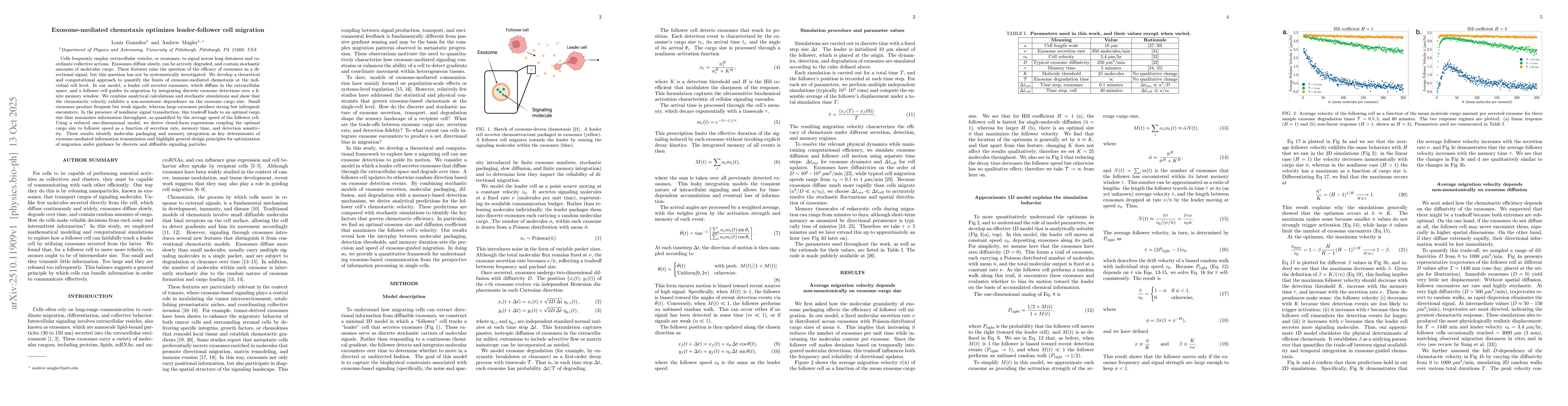 Thumbnail for Exosome-mediated chemotaxis optimizes leader-follower cell migration