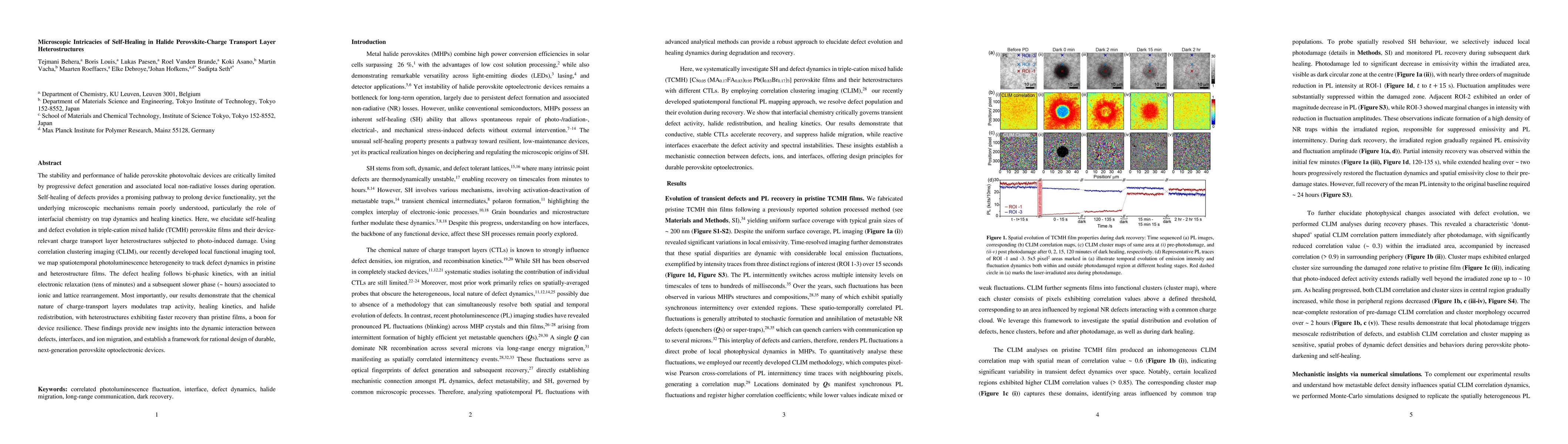 Thumbnail for Microscopic Intricacies of Self-Healing in Halide Perovskite-Charge
  Transport Layer Heterostructures