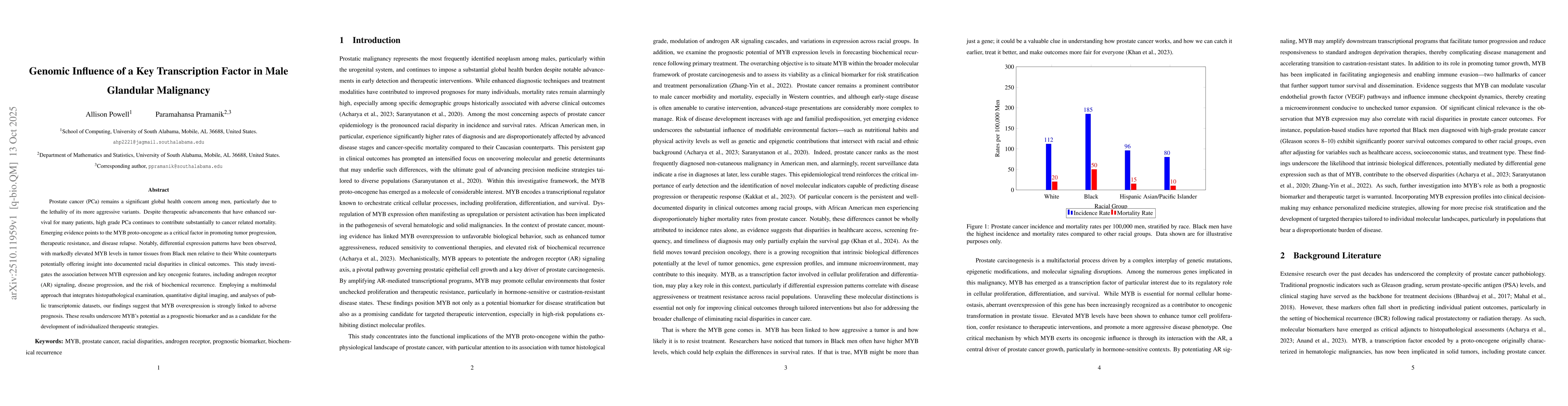 Thumbnail for Genomic Influence of a Key Transcription Factor in Male Glandular
  Malignancy
