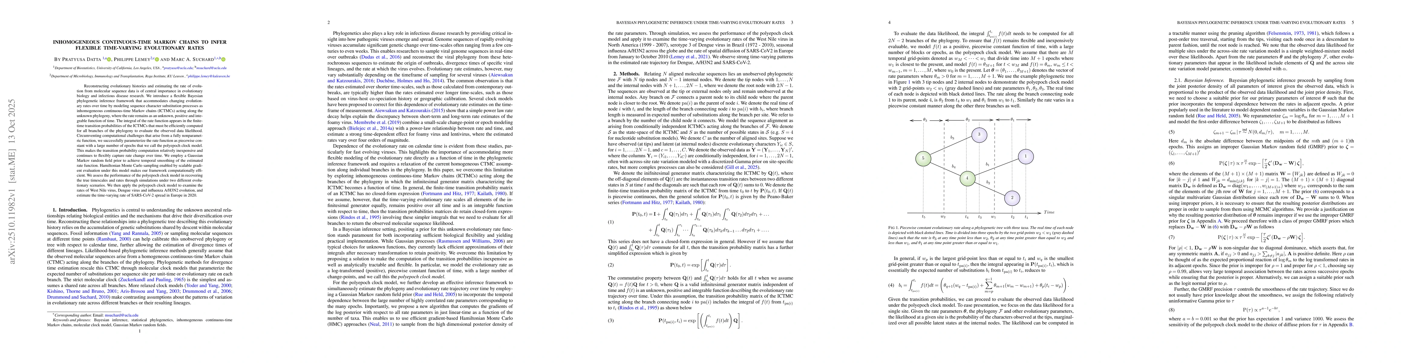Thumbnail for Inhomogeneous continuous-time Markov chains to infer flexible
  time-varying evolutionary rates