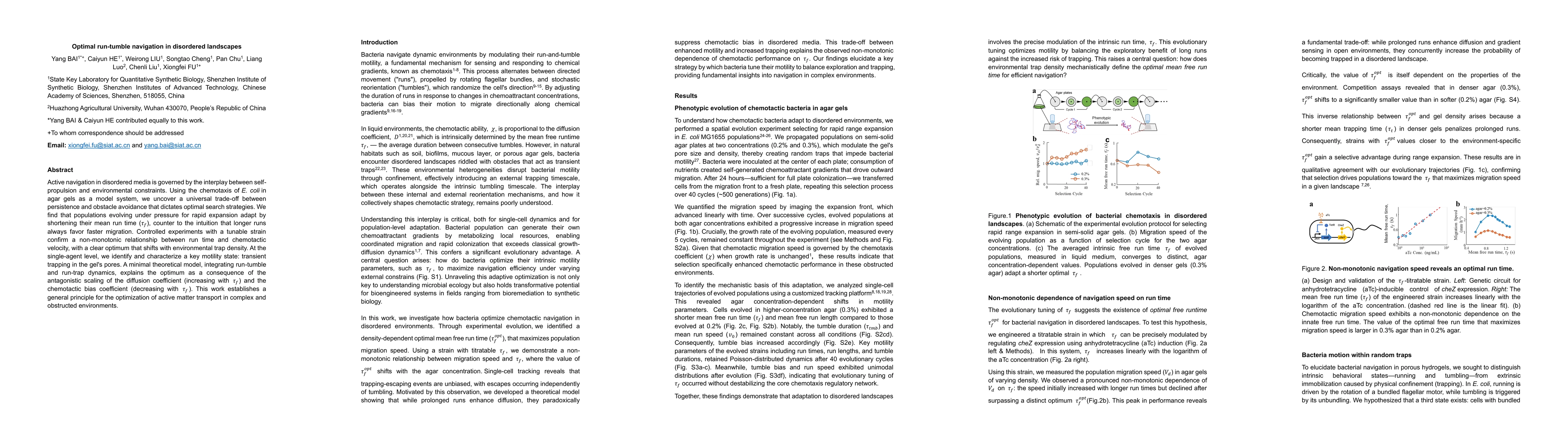 Thumbnail for Optimal run-tumble navigation in disordered landscapes