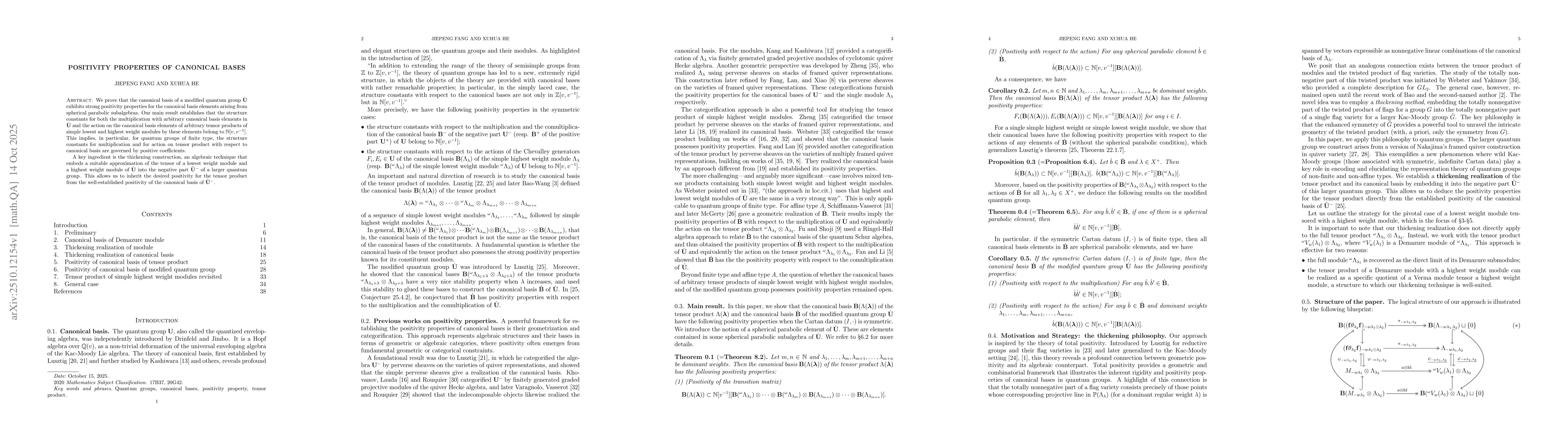 Thumbnail for Positivity properties of canonical bases