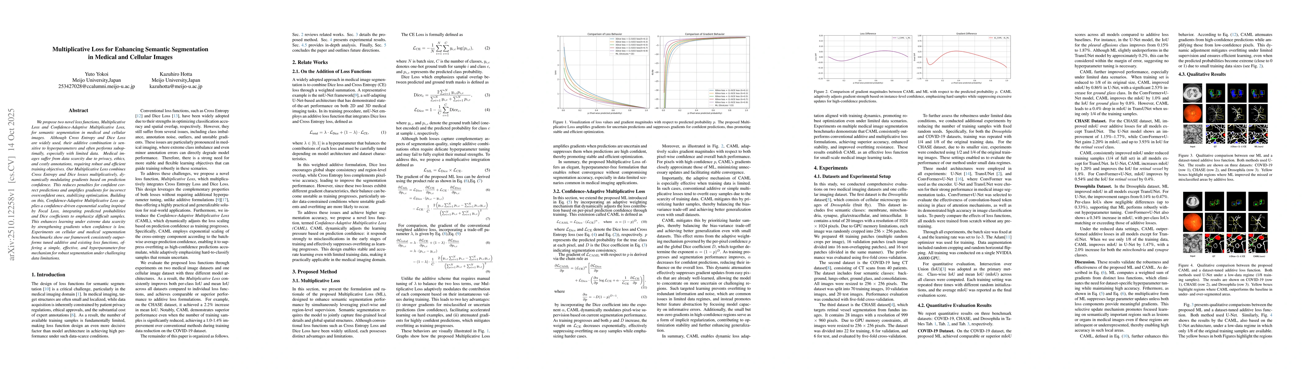 Thumbnail for Multiplicative Loss for Enhancing Semantic Segmentation in Medical and
  Cellular Images