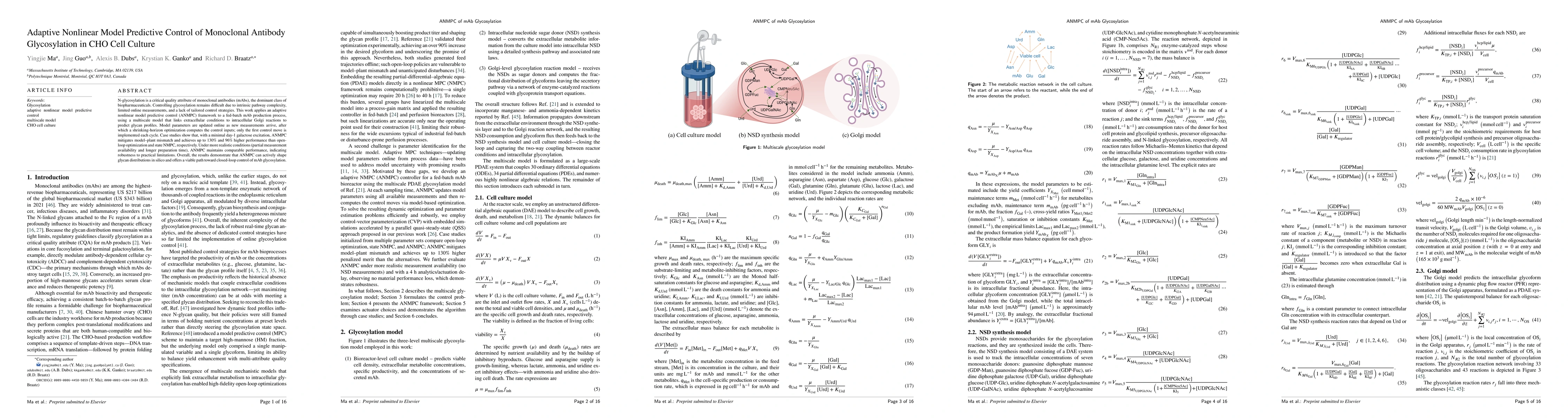 Thumbnail for Adaptive Nonlinear Model Predictive Control of Monoclonal Antibody
  Glycosylation in CHO Cell Culture