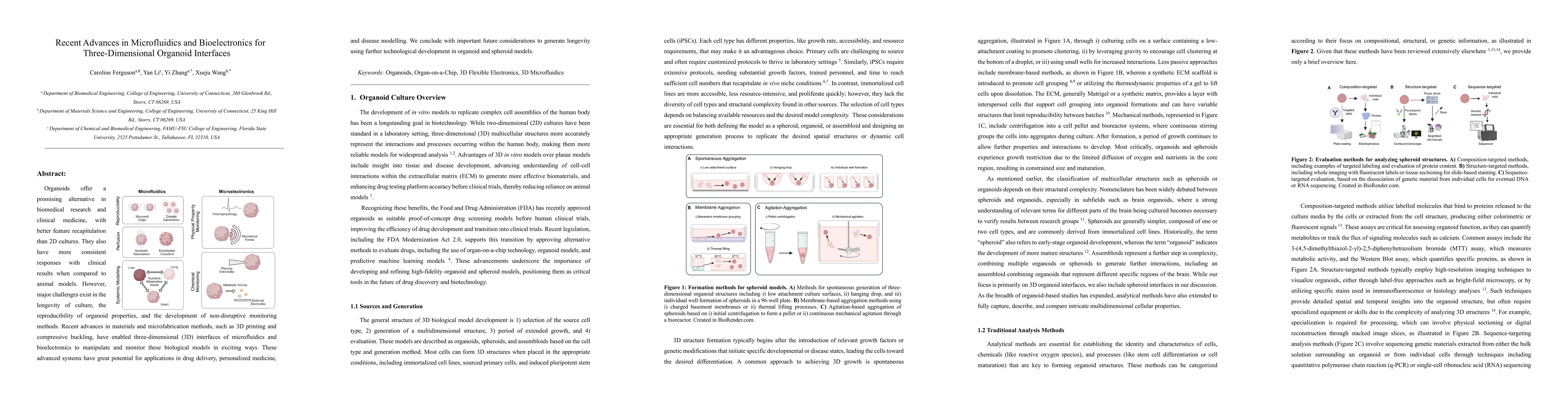 Thumbnail for Recent Advances in Microfluidics and Bioelectronics for
  Three-Dimensional Organoid Interfaces