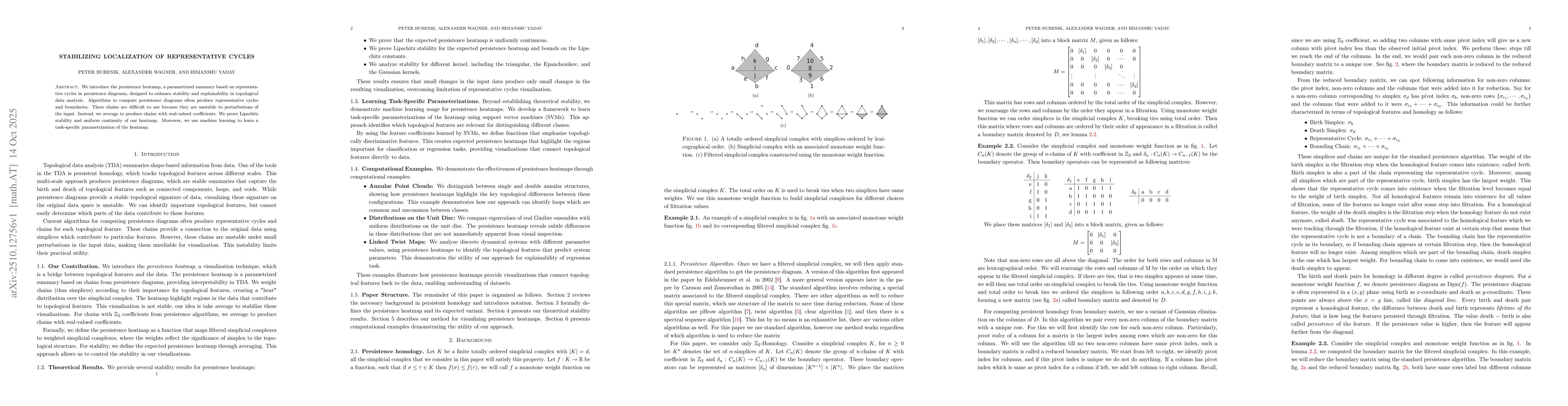 Thumbnail for Stabilizing Localization of Representative cycles