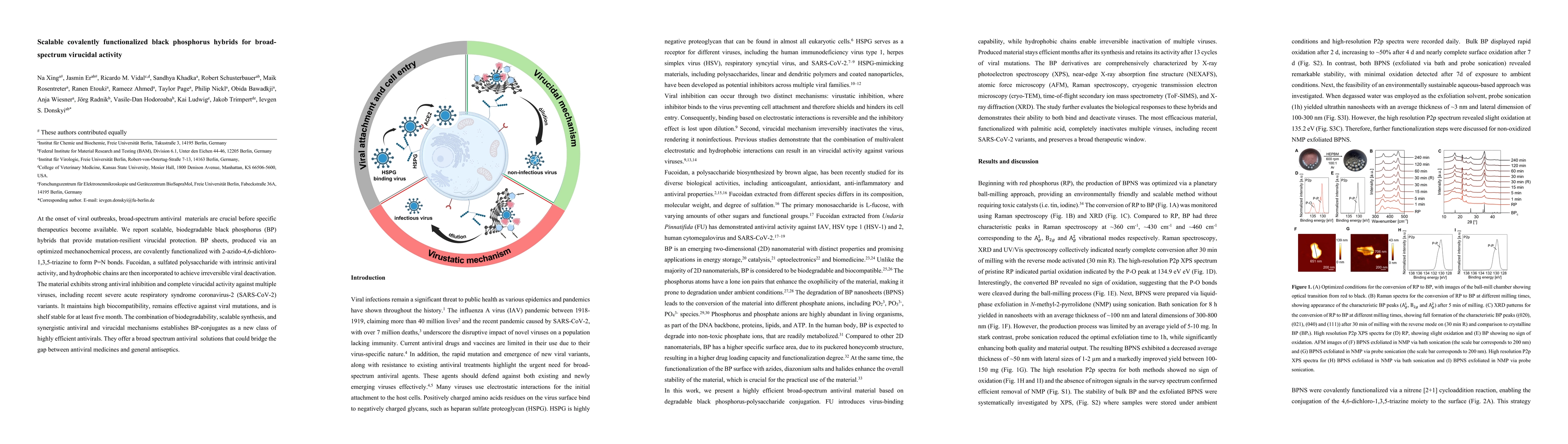 Thumbnail for Scalable covalently functionalized black phosphorus hybrids for
  broadspectrum virucidal activity
