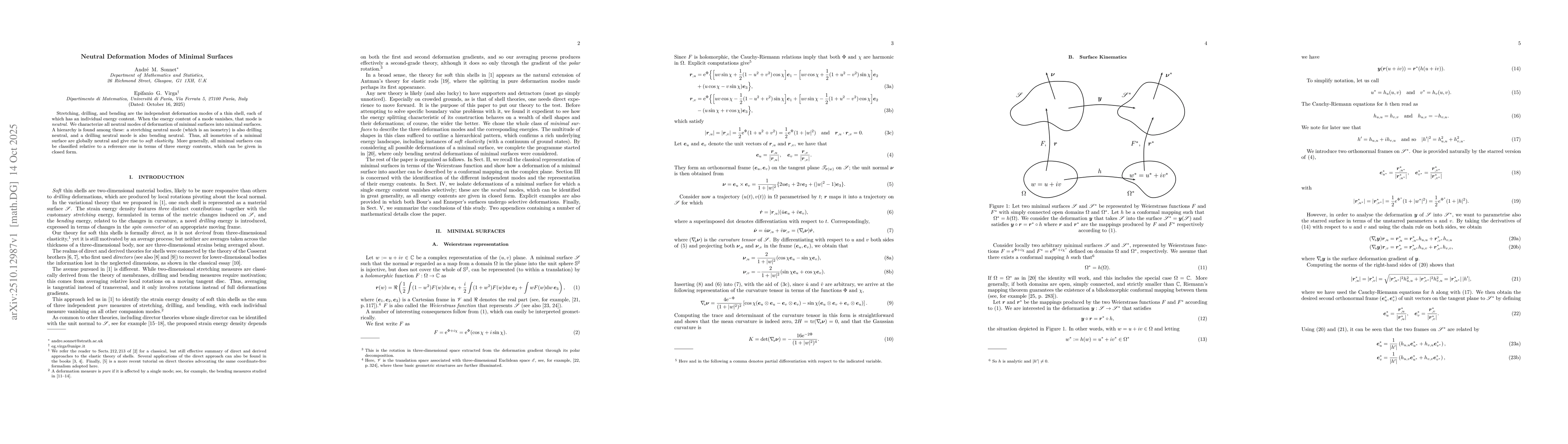 Thumbnail for Neutral Deformation Modes of Minimal Surfaces