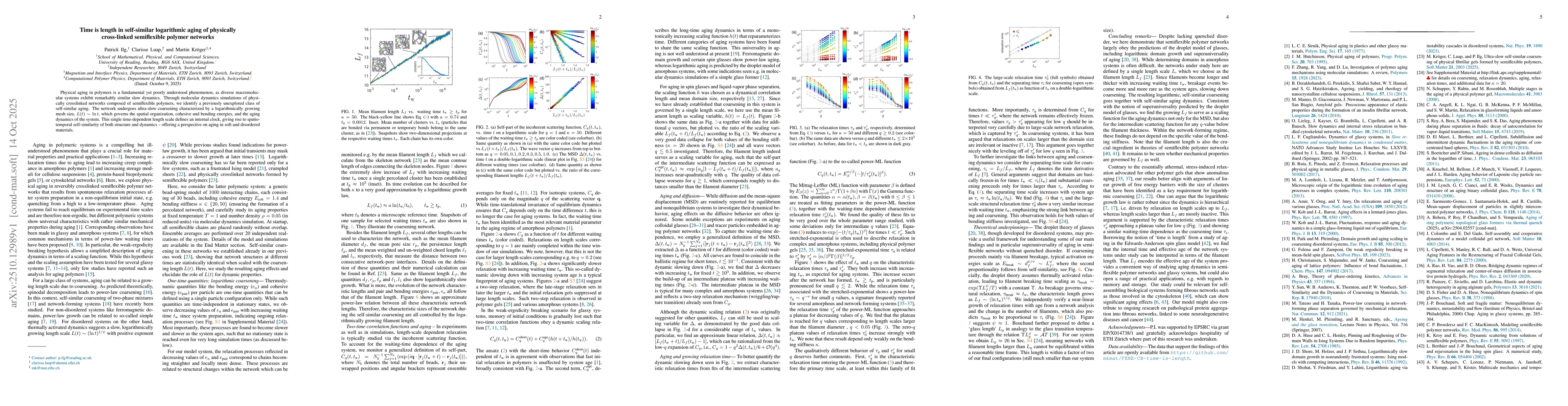 Thumbnail for Time is length in self-similar logarithmic aging of physically
  cross-linked semiflexible polymer networks