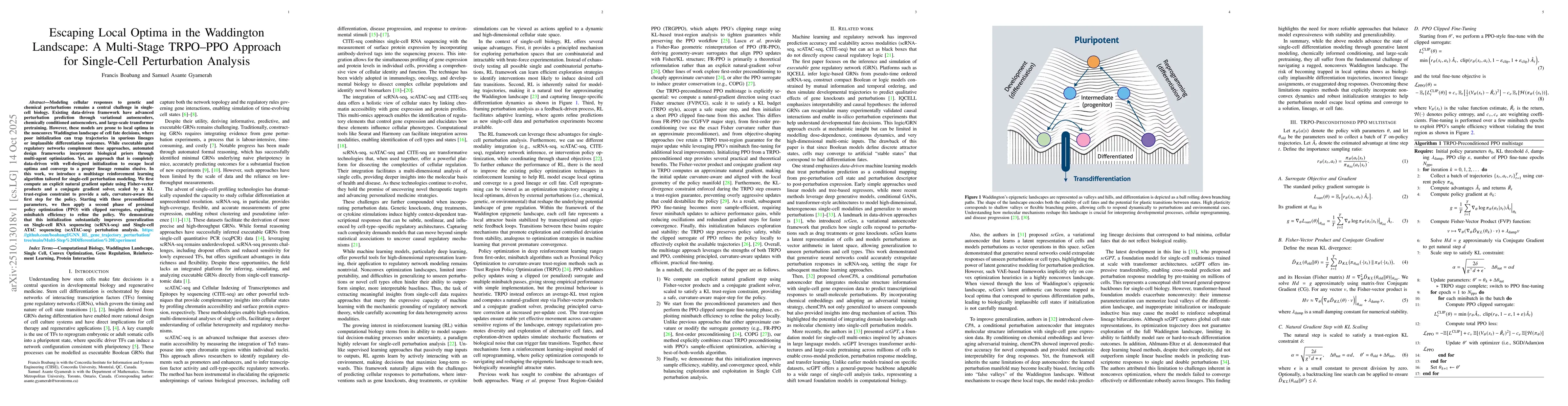 Thumbnail for Escaping Local Optima in the Waddington Landscape: A Multi-Stage
  TRPO-PPO Approach for Single-Cell Perturbation Analysis