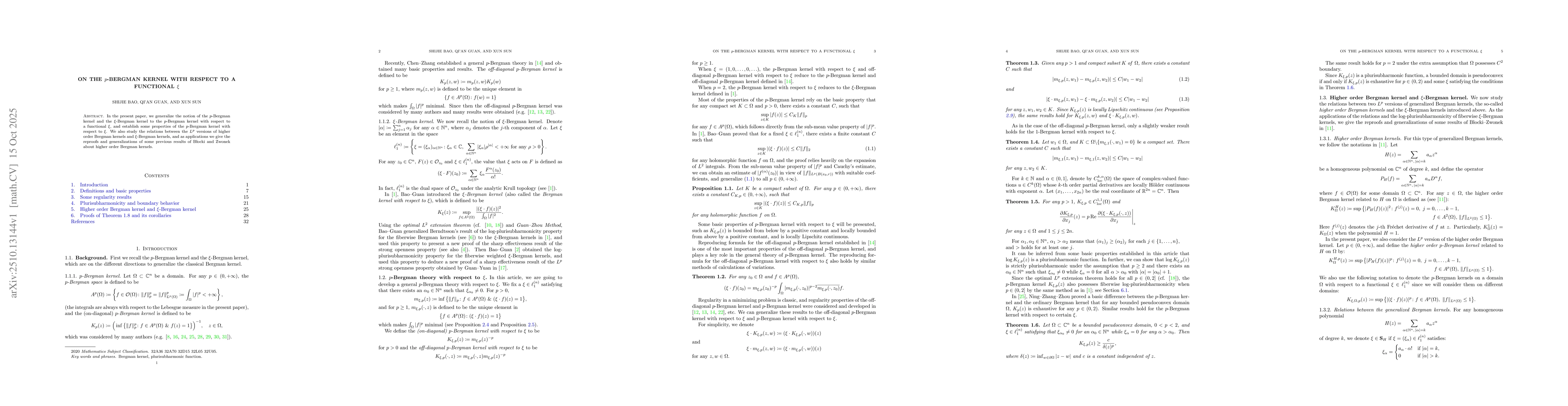 Thumbnail for On the $p$-Bergman kernel with respect to a functional $ξ$