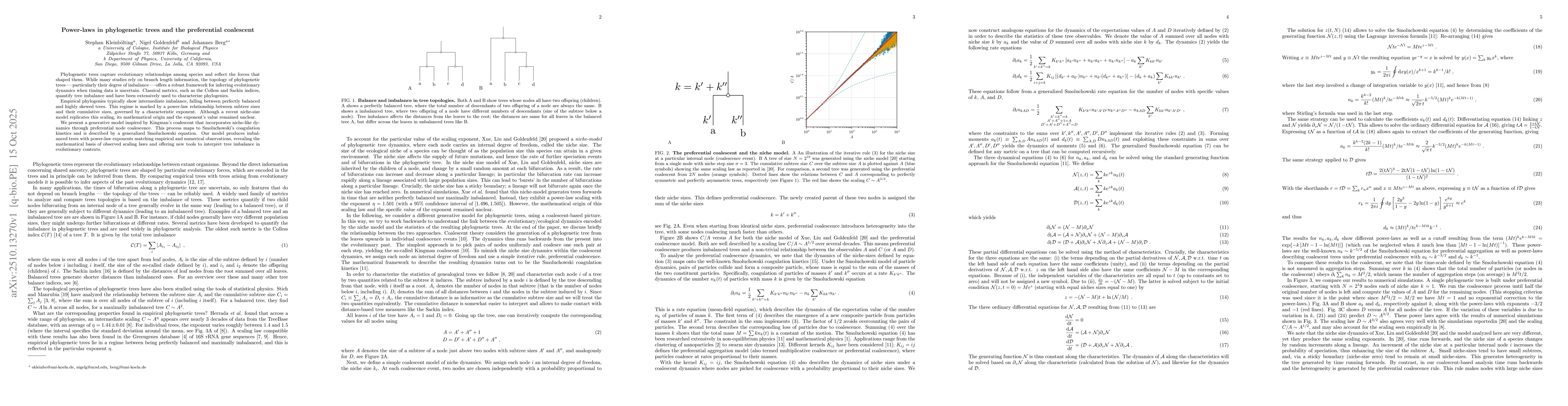 Thumbnail for Power-laws in phylogenetic trees and the preferential coalescent