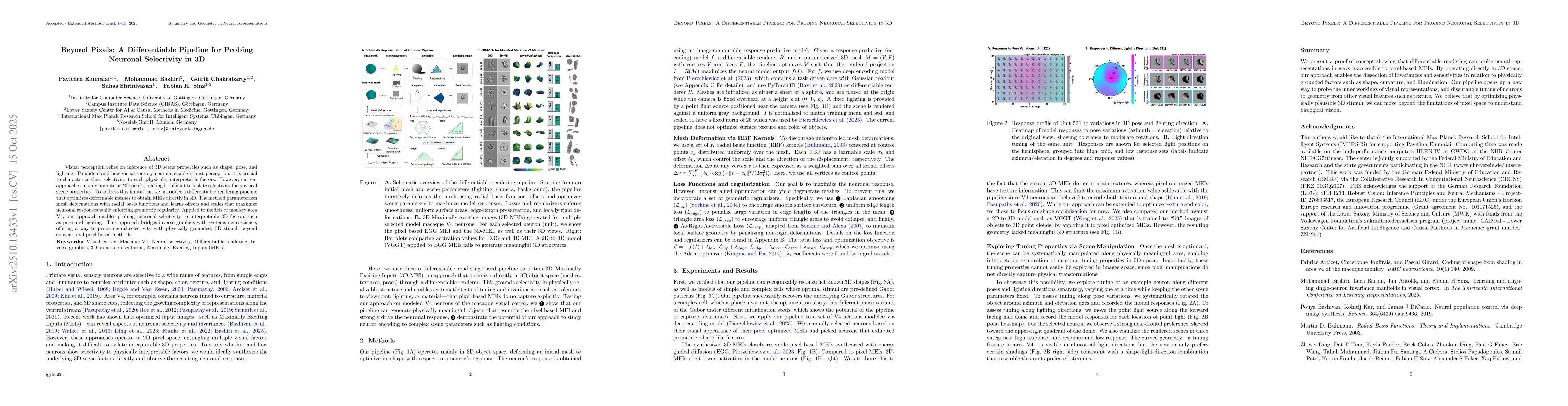 Thumbnail for Beyond Pixels: A Differentiable Pipeline for Probing Neuronal
  Selectivity in 3D