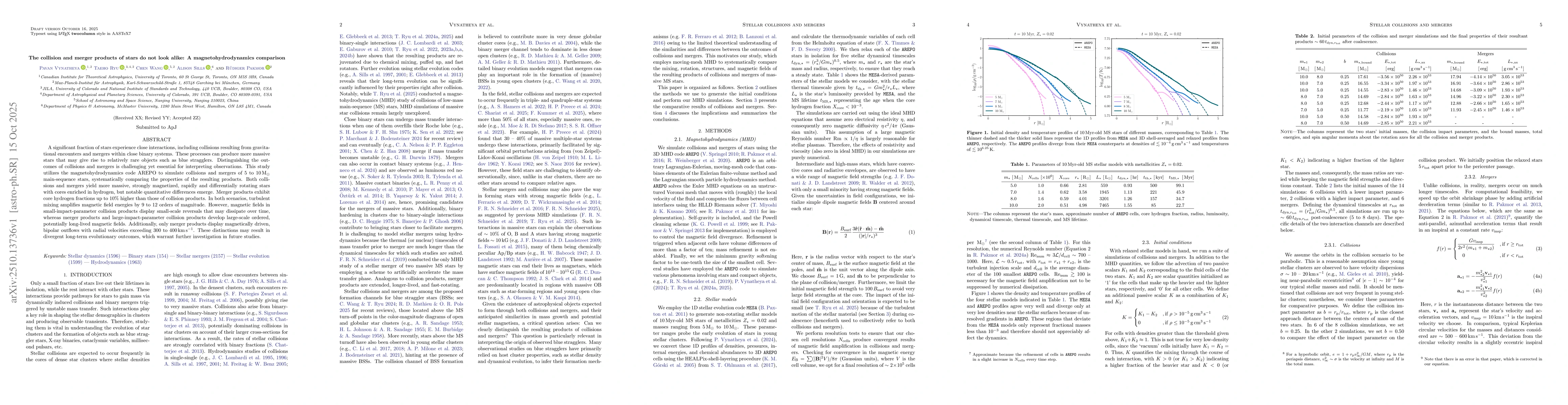 Thumbnail for The collision and merger products of stars do not look alike: A
  magnetohydrodynamics comparison