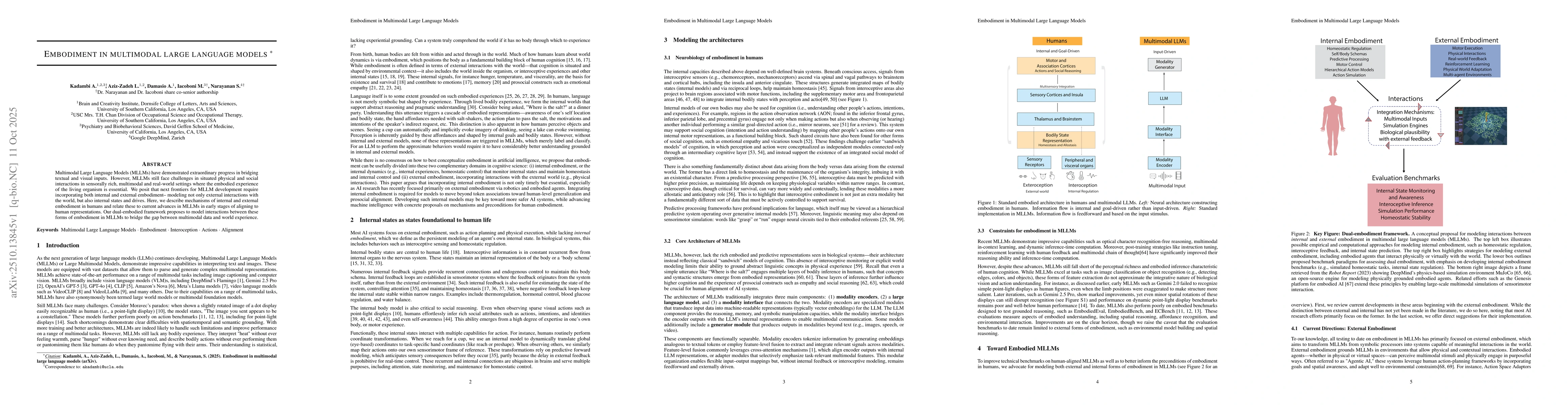 Thumbnail for Embodiment in multimodal large language models
