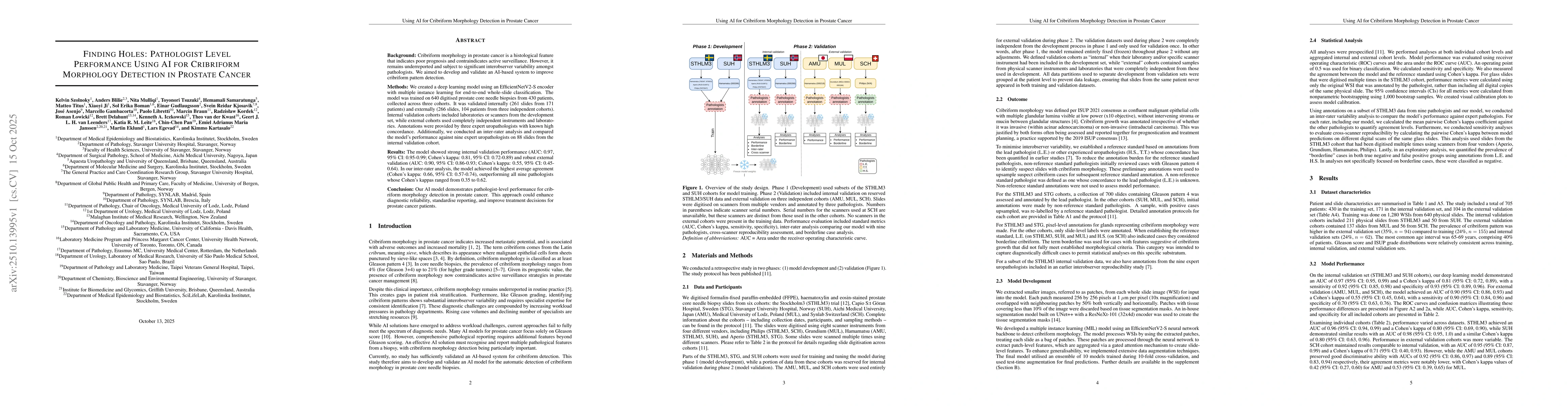 Thumbnail for Finding Holes: Pathologist Level Performance Using AI for Cribriform
  Morphology Detection in Prostate Cancer