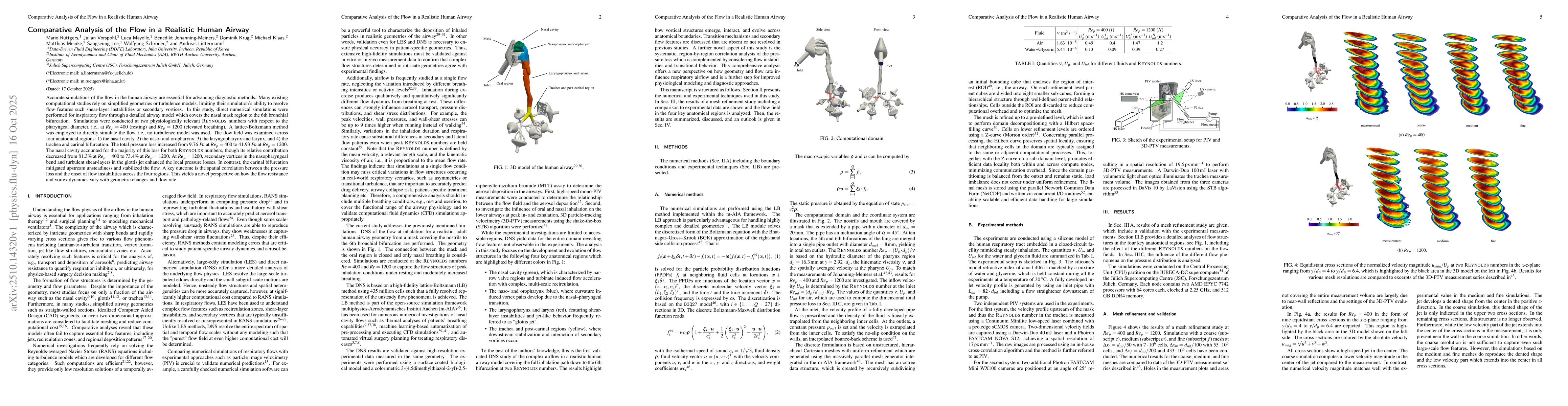 Thumbnail for Comparative Analysis of the Flow in a Realistic Human Airway