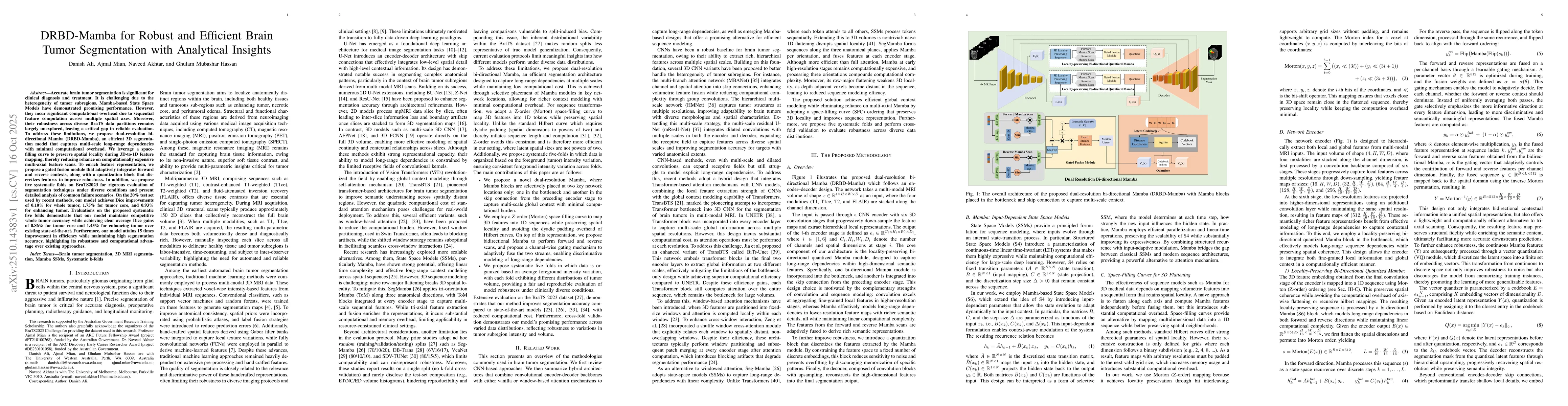 Thumbnail for DRBD-Mamba for Robust and Efficient Brain Tumor Segmentation with
  Analytical Insights