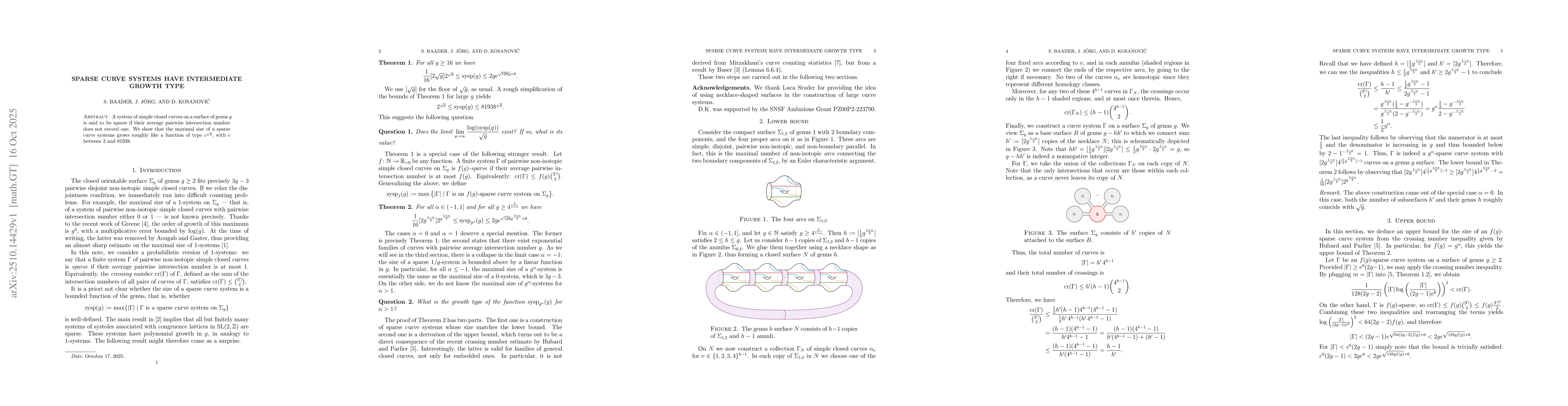 Thumbnail for Sparse curve systems have intermediate growth type