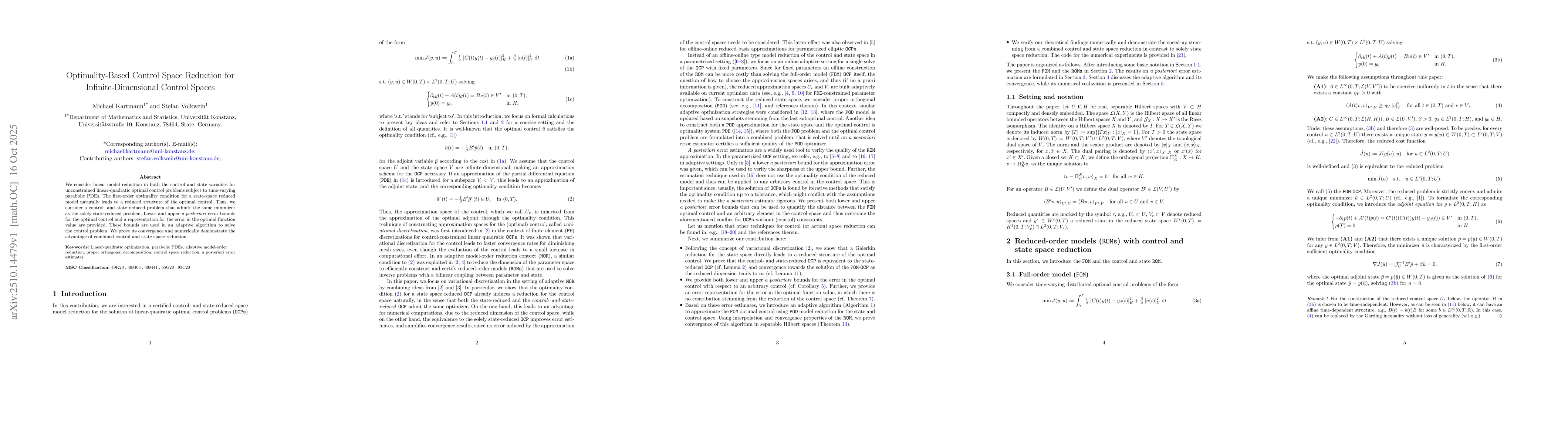 Thumbnail for Optimality-Based Control Space Reduction for Infinite-Dimensional
  Control Spaces