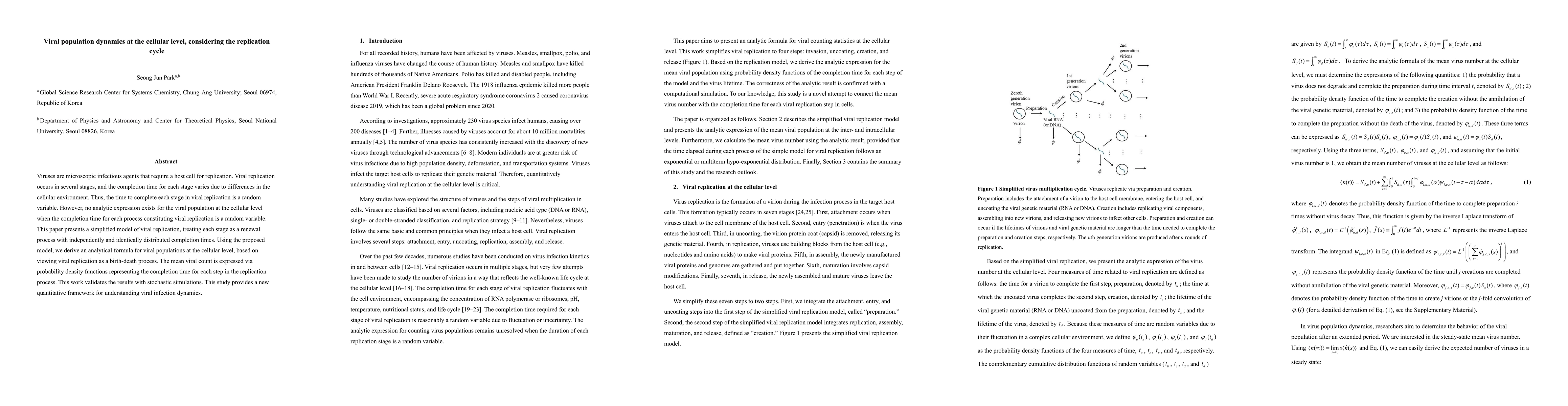 Thumbnail for Viral population dynamics at the cellular level, considering the
  replication cycle