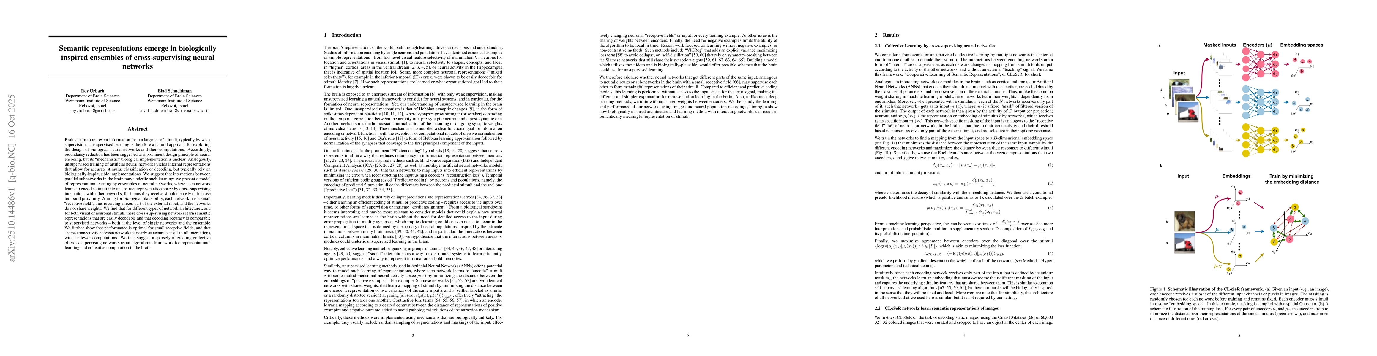 Thumbnail for Semantic representations emerge in biologically inspired ensembles of
  cross-supervising neural networks