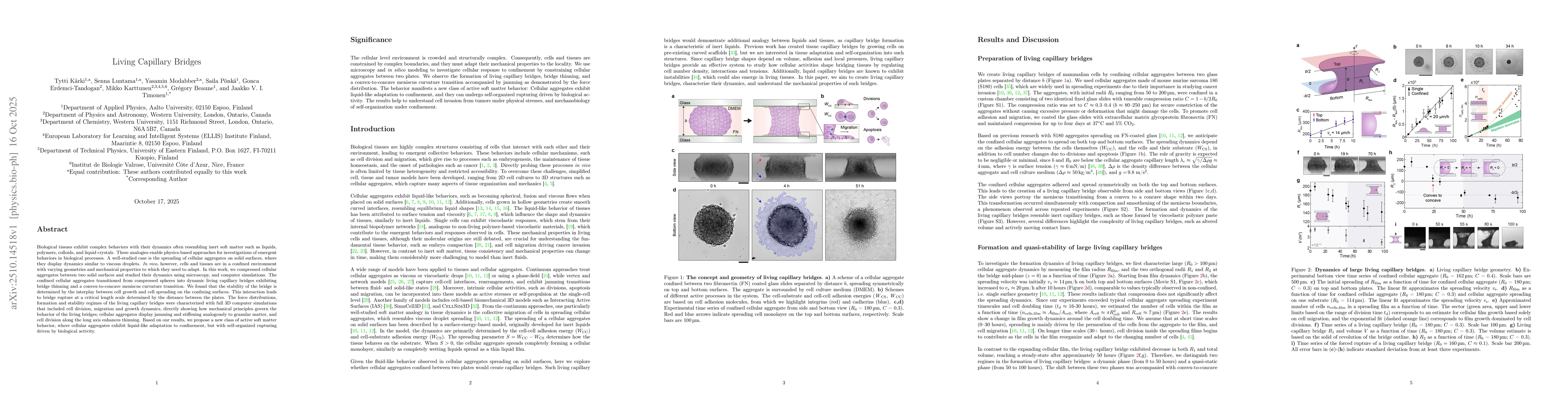Thumbnail for Living Capillary Bridges
