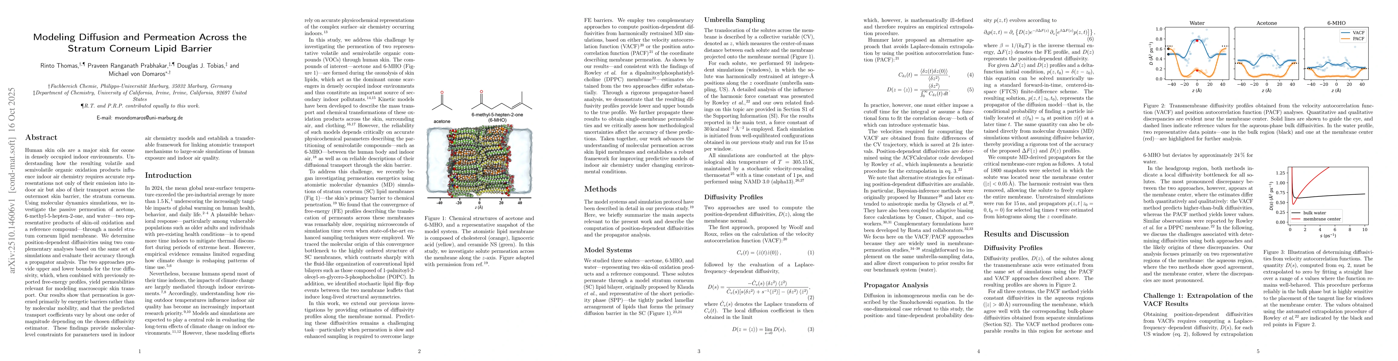 Thumbnail for Modeling Diffusion and Permeation Across the Stratum Corneum Lipid
  Barrier