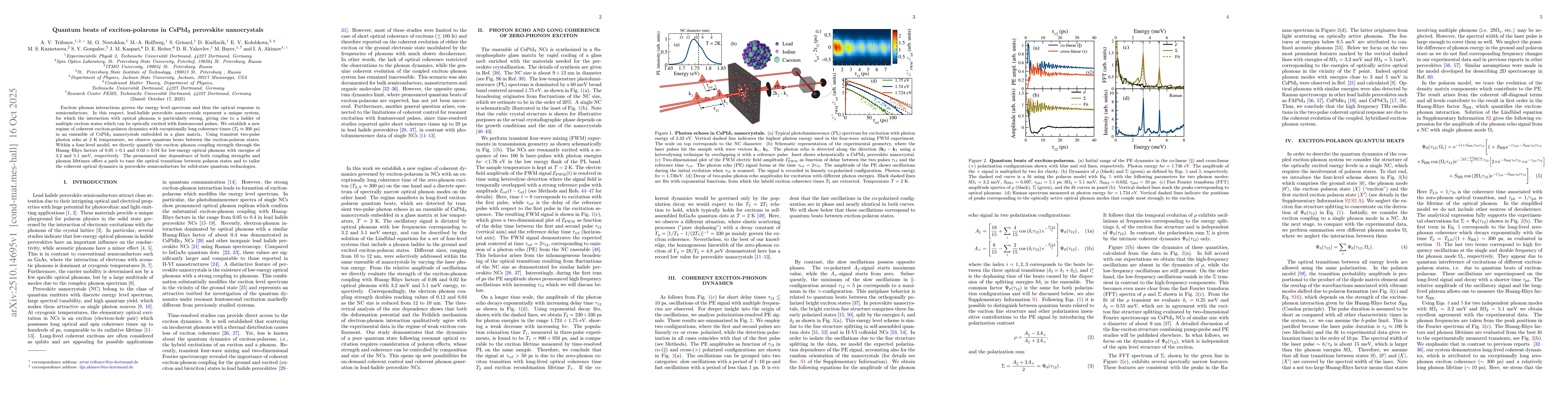 Thumbnail for Quantum beats of exciton-polarons in CsPbI3 perovskite nanocrystals