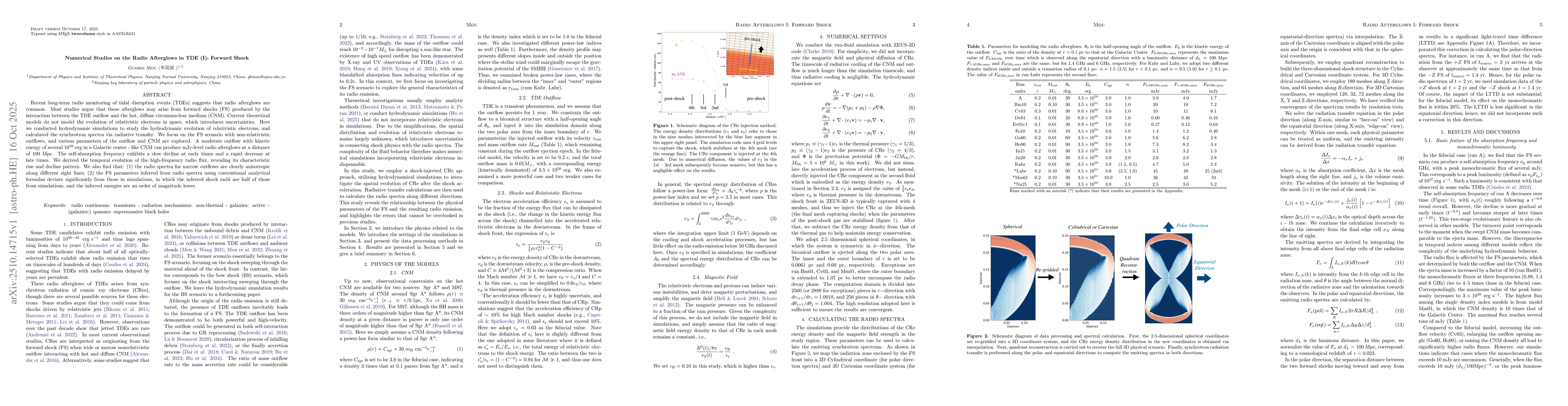 Thumbnail for Numerical Studies on the Radio Afterglows in TDE (I): Forward Shock