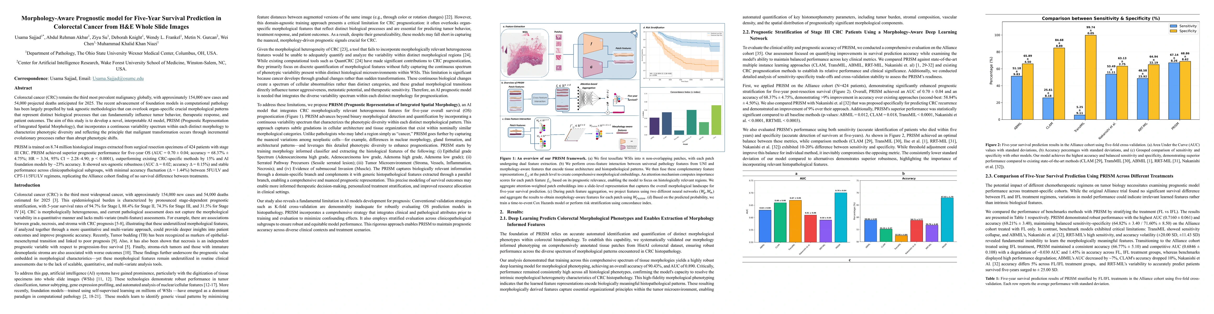 Thumbnail for Morphology-Aware Prognostic model for Five-Year Survival Prediction in
  Colorectal Cancer from H&E Whole Slide Images