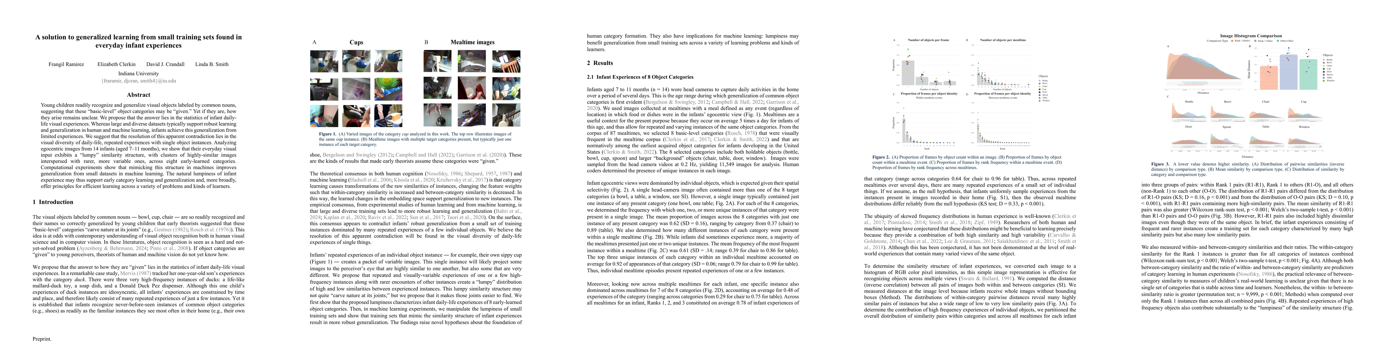 Thumbnail for A solution to generalized learning from small training sets found in
  everyday infant experiences