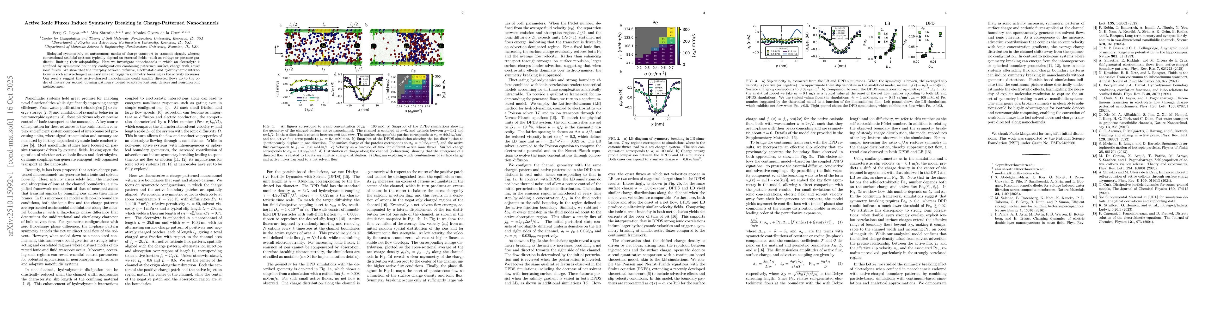 Thumbnail for Active Ionic Fluxes Induce Symmetry Breaking in Charge-Patterned
  Nanochannels