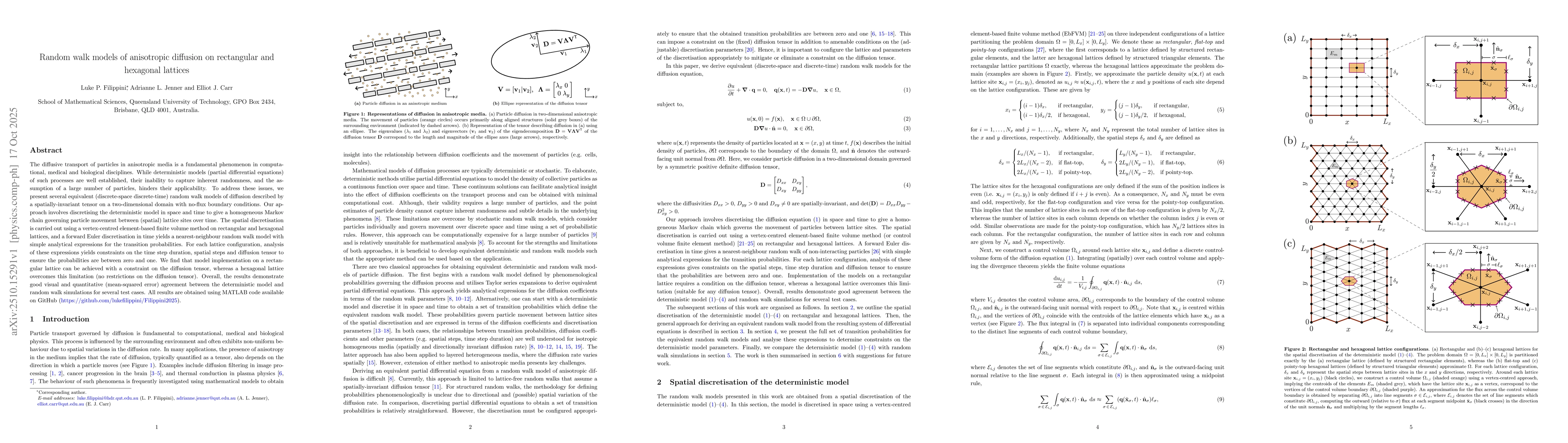 Thumbnail for Random walk models of anisotropic diffusion on rectangular and hexagonal
  lattices
