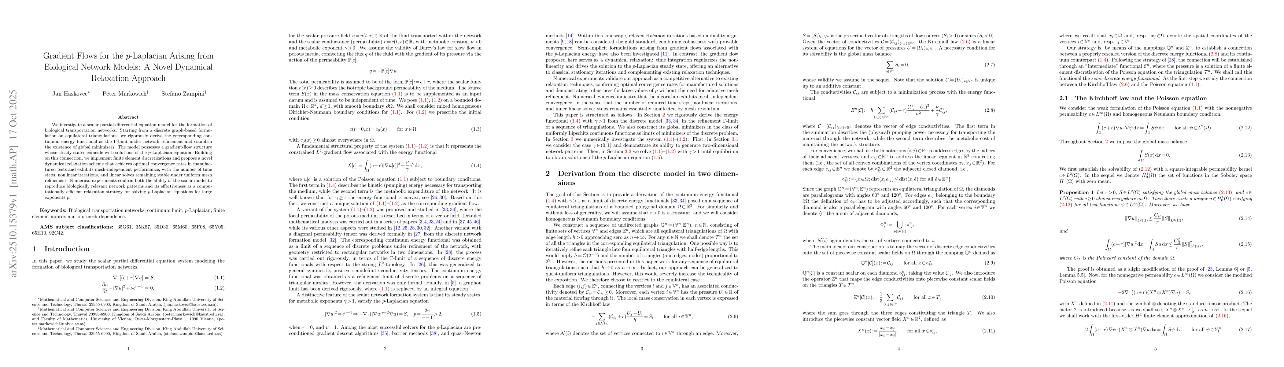 Thumbnail for Gradient Flows for the $p$-Laplacian Arising from Biological Network
  Models: A Novel Dynamical Relaxation Approach