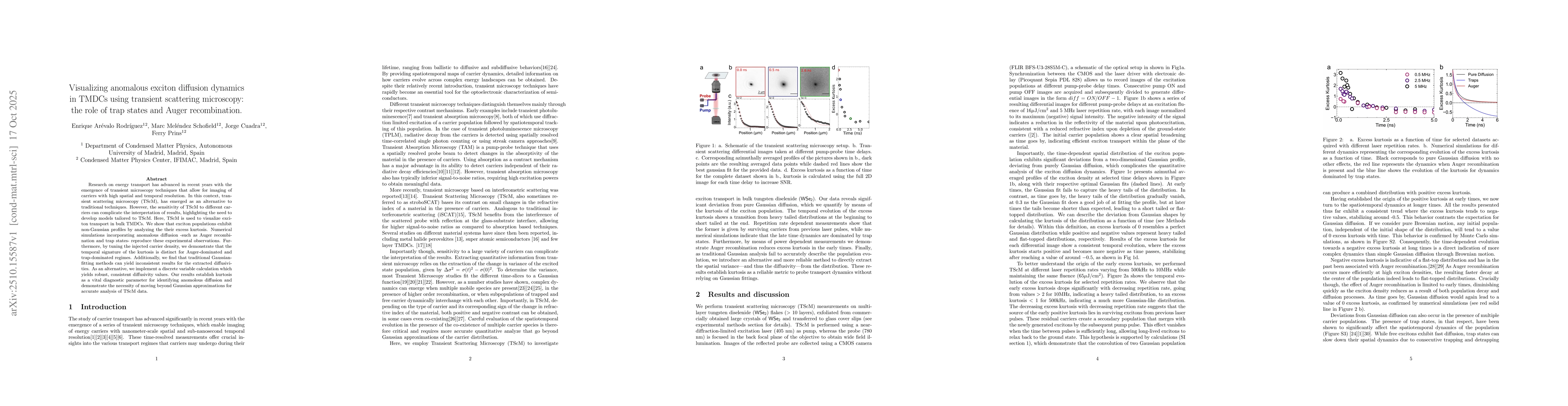 Thumbnail for Visualizing anomalous exciton diffusion dynamics in TMDCs using
  transient scattering microscopy: the role of trap states and Auger
  recombination