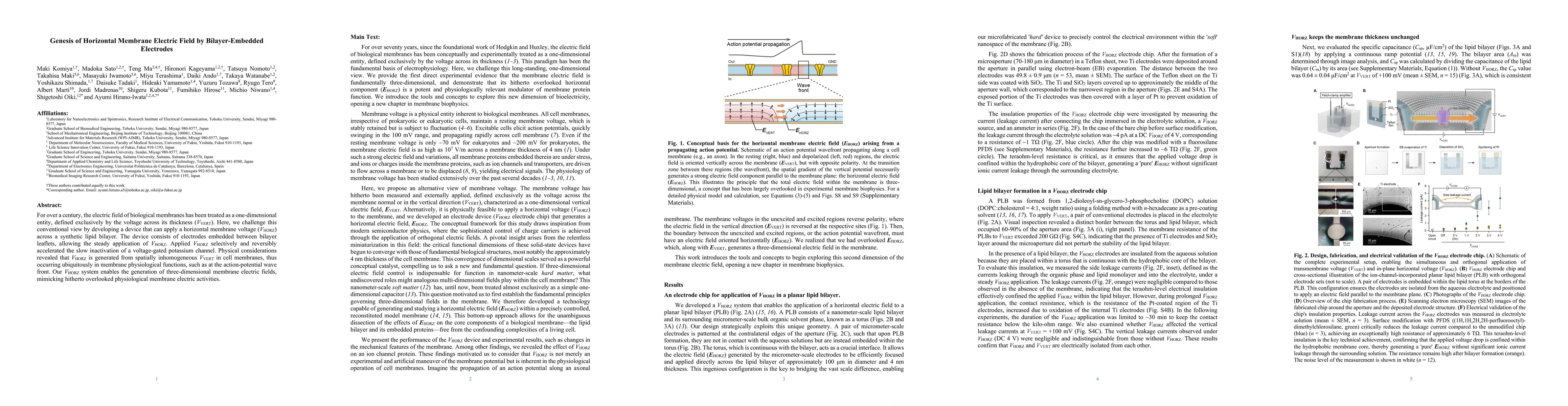 Thumbnail for Genesis of Horizontal Membrane Electric Field by Bilayer-Embedded
  Electrodes