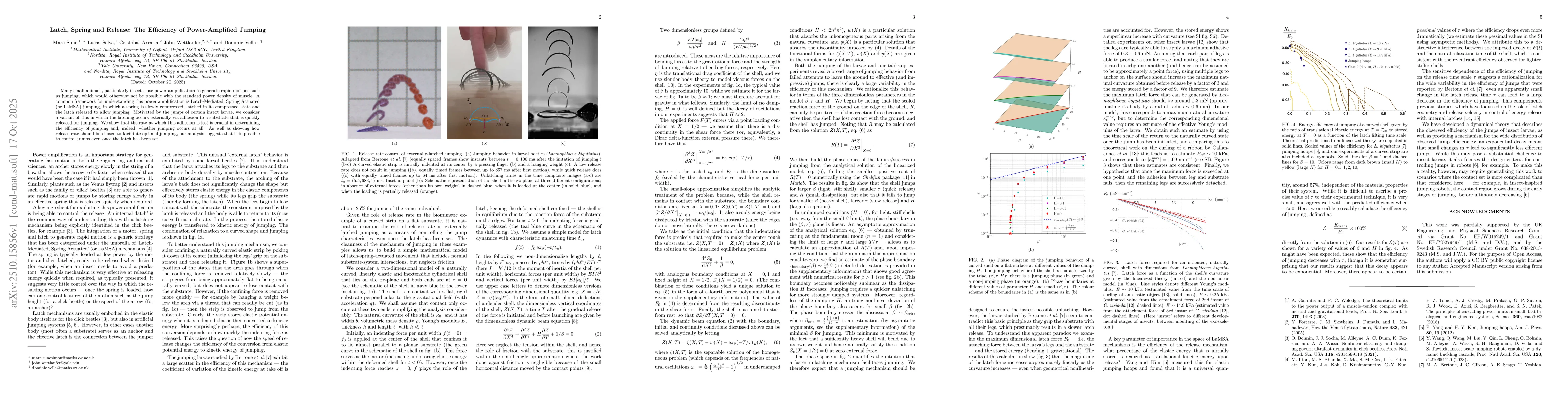 Thumbnail for Latch, Spring and Release: The Efficiency of Power-Amplified Jumping