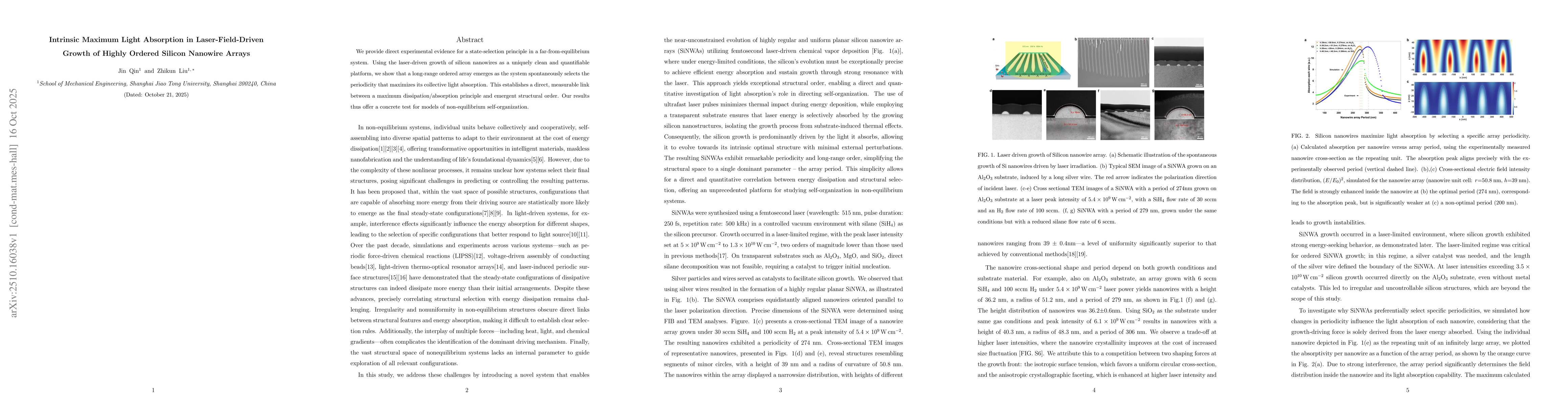 Thumbnail for Intrinsic Maximum Light Absorption in Laser-Field-Driven Growth of
  Highly Ordered Silicon Nanowire Arrays