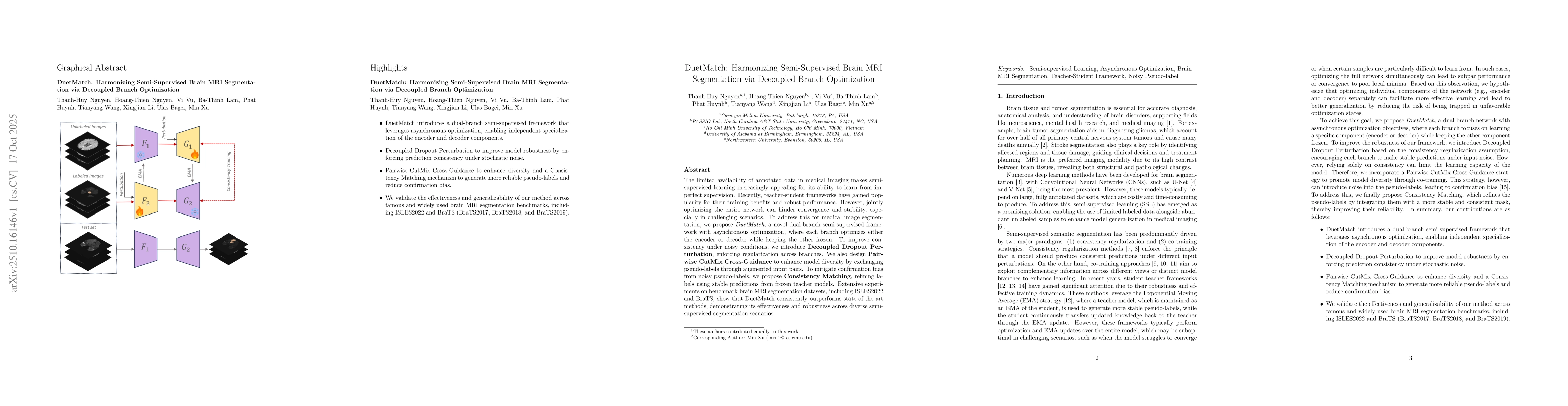 Thumbnail for DuetMatch: Harmonizing Semi-Supervised Brain MRI Segmentation via
  Decoupled Branch Optimization
