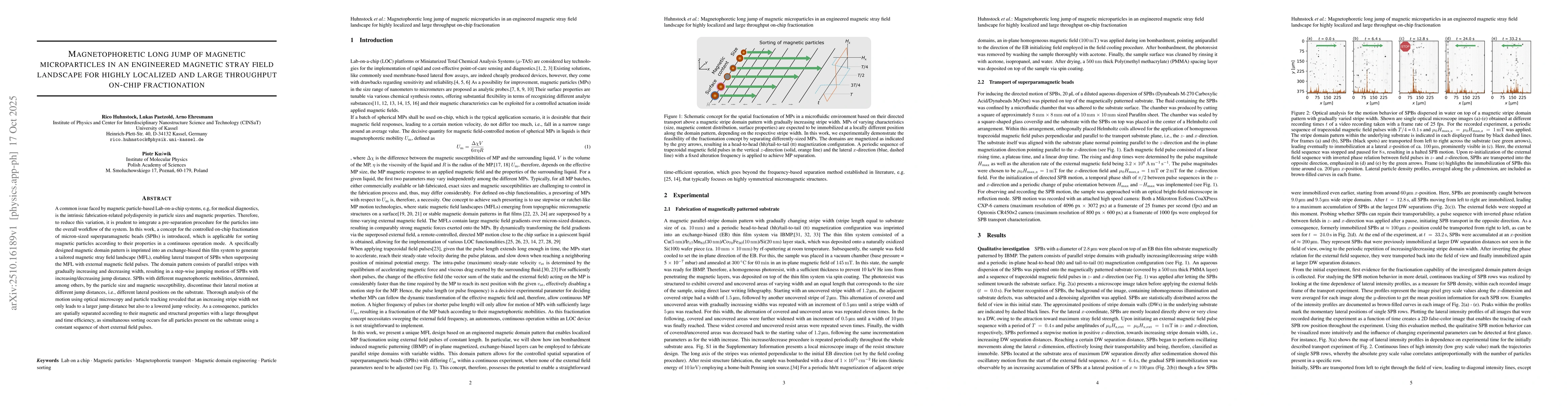 Thumbnail for Magnetophoretic long jump of magnetic microparticles in an engineered
  magnetic stray field landscape for highly localized and large throughput
  on-chip fractionation